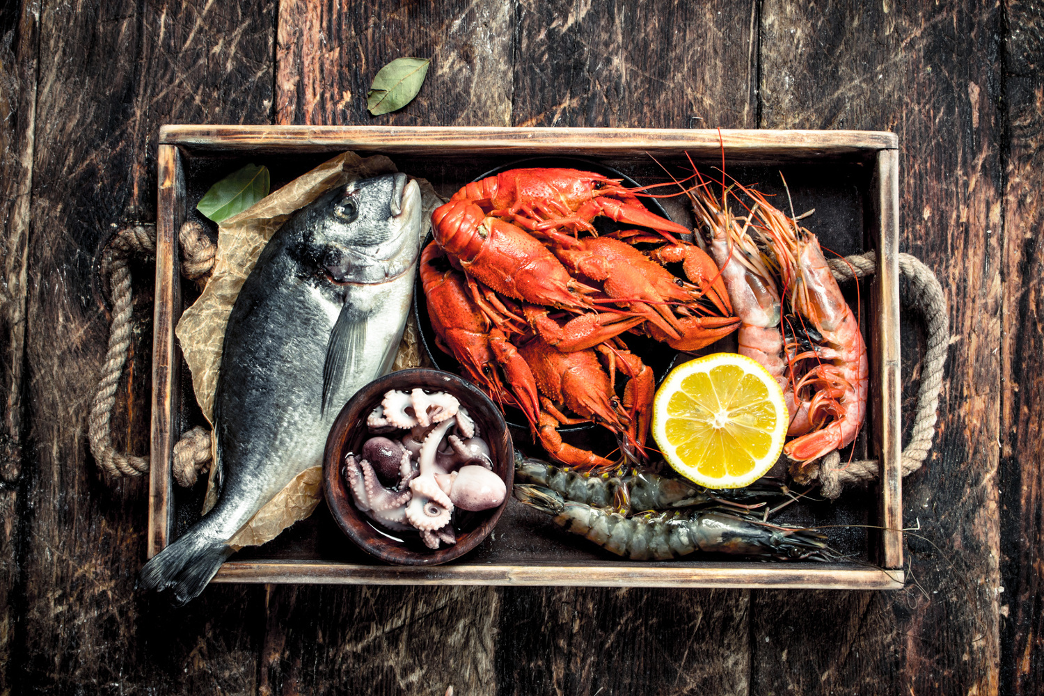 »EDELFISCHE, MEERESFRÜCHTE UND BRETONISCHE SCHOKOLADE«